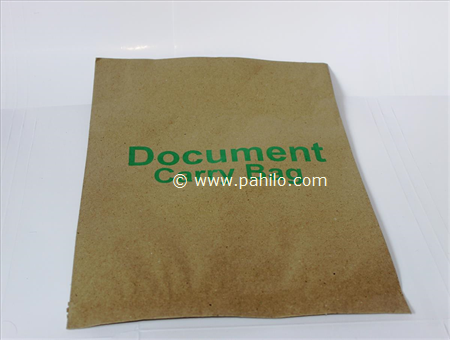 Brown Document Carry Paper Bag