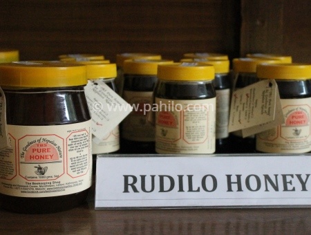Rudilo (Pogestemon) Honey